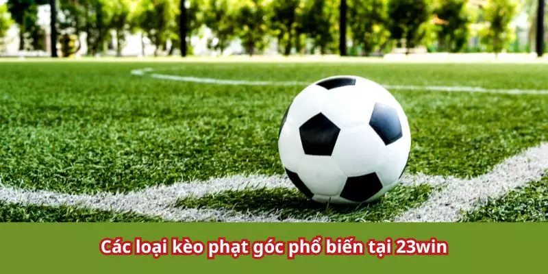 Kể tên một số kèo phổ biến tại 23win