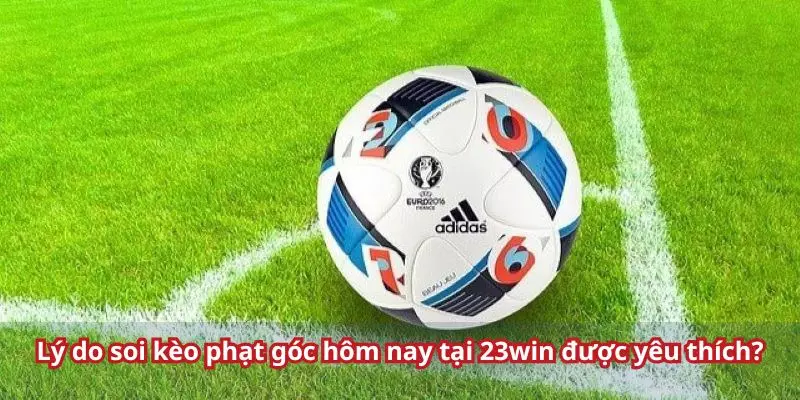 Hình thức cá cược tại 23win khiến anh em mê mẩn